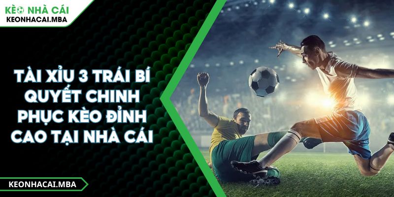 Tài Xỉu 3 Trái Bí Quyết Chinh Phục Kèo Đỉnh Cao Tại Nhà Cái 1 Tài Xỉu 3 Trái Bí Quyết Chinh Phục Kèo Đỉnh Cao Tại Nhà Cái