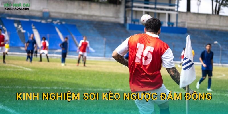 Kinh Nghiệm Soi Kèo Ngược Đám Đông - Dám Khác Biệt Để Thành Công Tại Kèo Nhà Cái MBA 1 Kinh Nghiệm Soi Kèo Ngược Đám Đông – Dám Khác Biệt Để Thành Công Tại Kèo Nhà Cái MBA