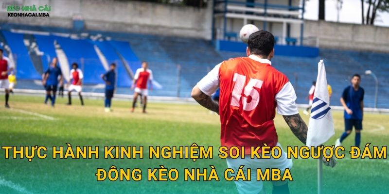 Kinh Nghiệm Soi Kèo Ngược Đám Đông - Dám Khác Biệt Để Thành Công Tại Kèo Nhà Cái MBA 3 Thực hành kinh nghiệm soi kèo ngược đám đông kèo nhà cái MBA