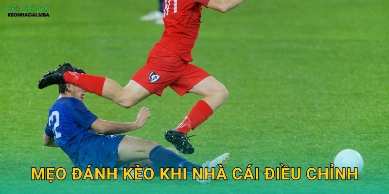 Mẹo Đánh Kèo Khi Nhà Cái Điều Chỉnh - Nắm Bắt Cơ Hội Tại Keo nha cai MBA 1 Mẹo Đánh Kèo Khi Nhà Cái Điều Chỉnh – Nắm Bắt Cơ Hội Tại Keo nha cai MBA