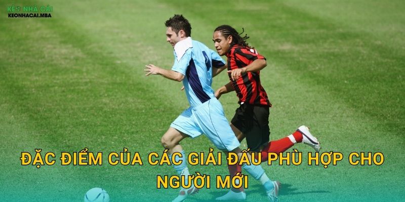 Kinh Nghiệm Chọn Giải Đấu Dễ Chơi - Tăng Cơ Hội Thắng Với Keo nha cai MBA 2 Đặc điểm của các giải đấu phù hợp cho người mới