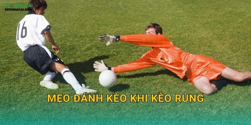 Mẹo Đánh Kèo Khi Kèo Rung – Bắt Sóng Thị Trường Tại Keo nha cai MBA