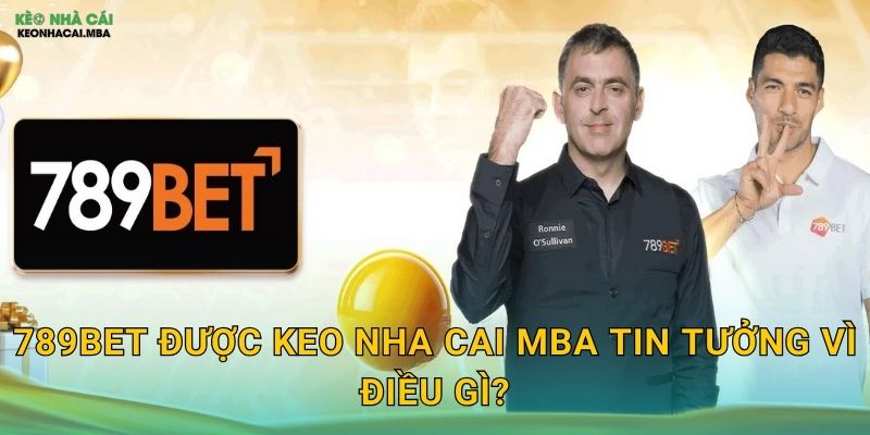 789Bet - Con Số May Mắn Cho Người Chơi Thông Minh Theo Keo nha cai MBA 2 789Bet được Keo nha cai MBA tin tưởng vì điều gì?