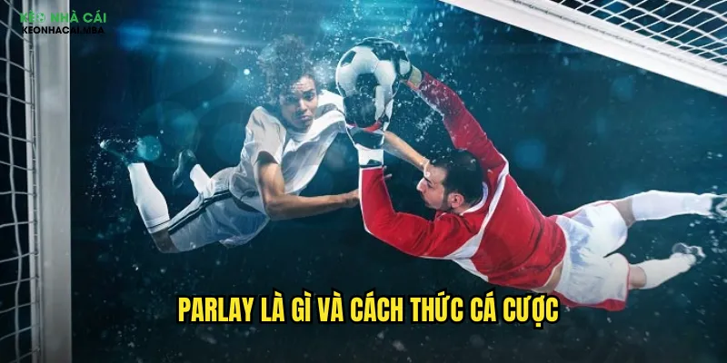 Parlay Keonhacai Mba - Nghệ Thuật Cược Tích Lũy Đỉnh Cao 2 Parlay là gì và cách thức cá cược