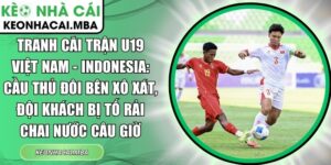 Tranh cãi trận U19 Việt Nam - Indonesia
