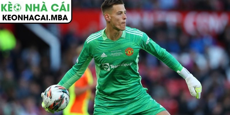 Tiềm năng lớn của thủ thành Radek Vitek