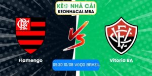 Flamengo vs Vitoria BA