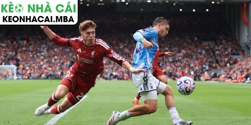 HLV CLB Liverpool điên tiết khi đội nhà nhận bàn thua trớ trêu 3 Bước ngoặt cay đắng và sai lầm mang tên hệ thống