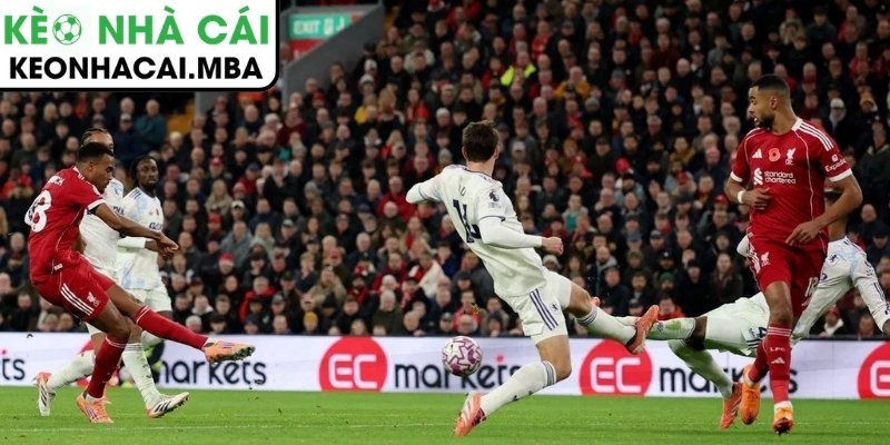 Bối cảnh hàng phòng ngự liverpool trong năm 2026