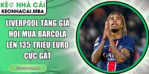 Liverpool tăng giá hỏi mua Barcola