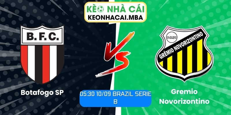 Botafogo SP vs Gremio Novorizontino